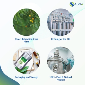 Venta al por mayor de aceite esencial de Neem puro y natural de calidad superior a la venta al por mayor a un precio mínimo - Product Image 4