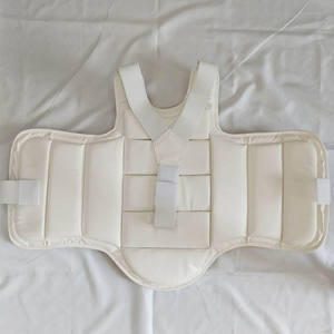 Protection Thoracique de Karaté Protection Contre les Impacts Armure Corporelle pour l'Entraînement la Pratique et la Compétition - Product Image 6