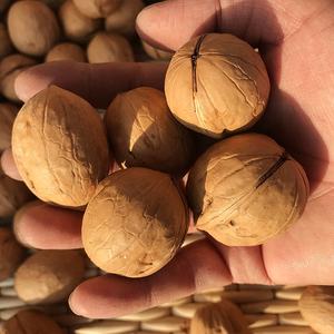 Noix de Grenoble biologiques de la nouvelle récolte en vente - Product Image 5