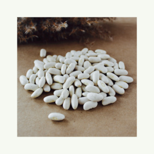 White <b>beans</b> for sale with worldwide shipping - Product Image 1