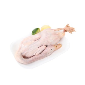 Pato congelado embalado para exportación Pato congelado asegurando una excelente calidad y entrega segura para pedidos a granel - Product Image 4