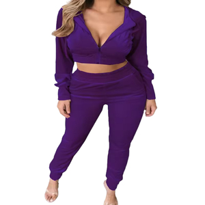 Chándal deportivo para correr de invierno 2025 para mujer, chándal Sexy de terciopelo con cremallera y capucha, chándal con patrón sólido bordado - Product Image 5