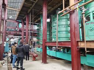 Alta productividad 350 T/D Componente de motor de núcleo de presión de aceite de girasol automático Nuevas semillas Máquina para freír para tienda de alimentos - Product Image 6