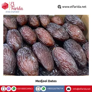 최고 품질의 최고 등급 이집트 말린 과일 간식 신선한 날짜 자연 건강한 Medjool 날짜 공장 직접 가격