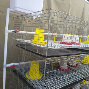 Gabbia di nidificazione per pulcini 3 o 4 livelli 2 porte da 90 a 320 per gabbia utilizzata per l'allevamento di piccoli polli - Product Image 6