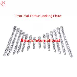 Juego de Placas de Bloqueo para Fémur Proximal Veterinario BISONS de 14 Piezas, Acero Inoxidable 316L, Certificado CE, Kit de Cirugía Ósea - Product Image 3