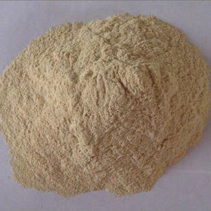 Cheapest Price Shrimp <b>Shell</b> Powder Bulk Export for Animal Feed Industry Protein Rich Material for Feed Production - Product Image 1