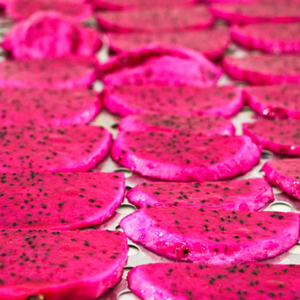 FRUITS SÉCHÉS DU VIETNAM | FRUITS DU DRAGON SÉCHÉS À PRIX COMPÉTITIFS - Product Image 2