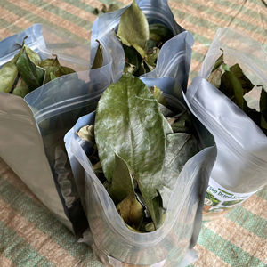 Hojas de Guanábana secas Ingrediente de té de hierbas naturales Hoja de Graviola Seca bajo la luz del sol en Vietnam - Product Image 1