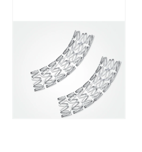 Stents Coronarios y Balones Coronarios Premium, Herramientas de Intervención Vascular Cardíaca, Instrumentos de Precisión para Uso en Procedimientos Cardíacos - Product Image 4