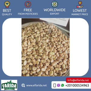 High Quality Organic Kidney and Fava <b>Beans</b> Whole and Split From Egypt-Agriculture Grade Bulk Supply Wholesale Wholesale - Product Image 5