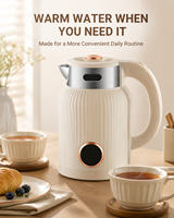 Bouilloire Électrique en Acier Inoxydable 2 L, Maintien au Chaud Intelligent, Arrêt Automatique, Commande par Bouton-Poussoir, 1000W, Usage Domestique