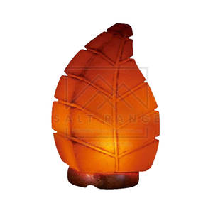 Lampe en sel de l'Himalaya sculptée de style nouveau - Décoration d'intérieur Cadeau avec design personnalisable et toucher réel - Product Image 1