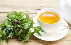 Bolsa de té aromática de albahaca seca gruesa TBC de calidad superior Producto agrícola de gama alta - Product Image 2