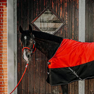 Fabricantes Profesionales de Cabestros para Caballos de Alta Calidad a Precios Económicos, Venta al por Mayor de Cabestros para Caballos con Cuerda de Amarre - Product Image 3