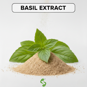 Poudre d'extrait d'herbe de Tulsi sauvage de qualité cosmétique (pureté 99 %) pour la fabrication à grande échelle de produits de bien-être - Product Image 2