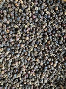 Pimienta de Vietnam de Alta Calidad, Seca, Procesada AD, 13% de Humedad, Bolsas de 1-50 kg, Precio de Fábrica al por Mayor +84 796 855 283 (Sr. Brian) - Product Image 2