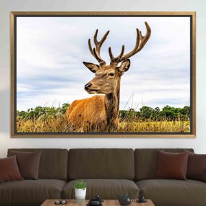 Tableau mural élégant sur toile avec motif cerf : design imprimé pour une décoration moderne, TOILE ENCADRÉE DORÉE - Product Image 1