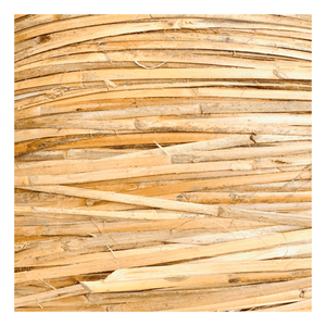 หวายธรรมชาติคุณภาพสูง เป็นมิตรกับสิ่งแวดล้อม ทนทาน หนา 2-5 มม. ขายส่งวัตถุดิบพรีเมียมจากเวียดนาม สำหรับงาน DIY เฟอร์นิเจอร์และงานฝีมือ - Product Image 6