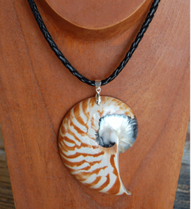 Concha corte natural JOYERÍA SEASHELL Collar de concha cuenta Motivo corte de concha - Product Image 3