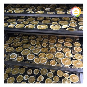 Tranches de citron vert séchées avec un arôme naturel de citrus, séchées uniformément et bien façonnées pour une présentation culinaire - Product Image 3