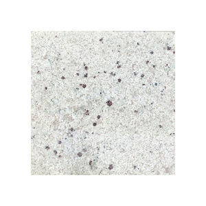 Vente en gros de dalles de granit blanc poli de style design moderne meilleure qualité vente en ligne pour les sols de cuisine grande dalle de pierre - Product Image 4