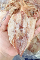 Calmar séché de haute qualité disponible fruits de mer naturels de qualité supérieure pour les restaurants et les distributeurs fabriqués au Vietnam 2025