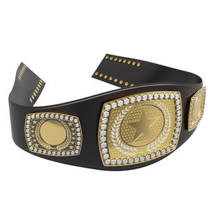 Ceinture du Nouveau Championnat Intercontinental du Monde AEW Unisexe Ronpex Équipement d'entraînement international d'arts martiaux Laiton Zinc - Product Image 3