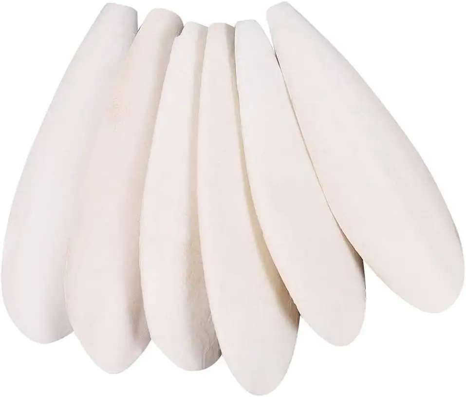 AFFORDABLE DRIED CUTTLEFISH BONE AVAILABLE/ HIGH CALCIUM CUTTLEFISH BONE FOR SALE/ BUY CUTTLEFISH BONE AT CHEAP PRICE