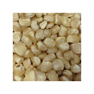 Maíz Blanco disponible para pedidos al por mayor con soporte de exportación rápido y suministro a granel - Product Image 4