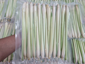 Lemongrass orgánico congelado IQF Mejor precio para ventas al por mayor Alta CALIDAD DE Vietnam Lemongrass congelado a precios competitivos - Product Image 4