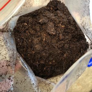 100% มอสพรุธรรมชาติ-สมบูรณ์แบบสำหรับพืช - Product Image 5