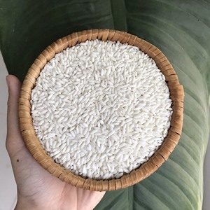 Arroz pegajoso dulce vietnamita de grano perfectamente largo procesado por Villaconic Rice Miller (WA: + 84398885178) - Product Image 4