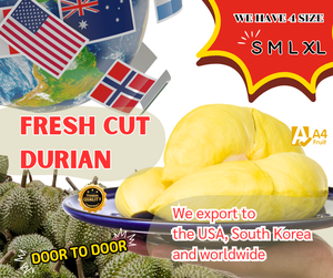 Durian Monthong frais de Thaïlande, qualité supérieure, 100% thaïlandais, pulpe glacée douce et crémeuse, 500g, durée de conservation de 14 jours, qualité d'exportation élevée, fruit A4 - Product Image 1