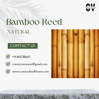 100% bâtons de bambou brut respectueux de l'environnement naturel poteaux piquets de bambou de roseau originaux en différentes tailles pour la décoration de la maison