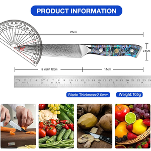 Venta al por mayor personalizado de alta calidad OEM ODM servicio Damasco cuchillo de acero afilado para cortar frutas cuchillo de cocina para frutas y verduras - Product Image 2