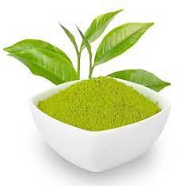 Hữu cơ chiết xuất trà xanh bột trà xanh với gói tốt và chiết xuất trà xanh polyphenol 98% từ Ấn Độ