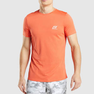 Gran oferta, camiseta de gimnasio para hombre, estilo deportivo de alta calidad, 260 gramos, peso de tela, hecho en fábrica a precio mayorista - Product Image 4