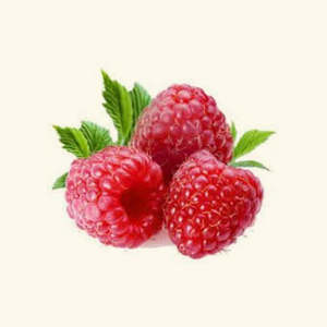 สีผสมอาหารชนิดน้ำ รสราสเบอร์รี่ - Product Image 1