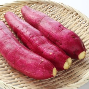 Puré de Camote Congelado e Ingrediente Ideal para Repostería, Postres y Bebidas - Product Image 1