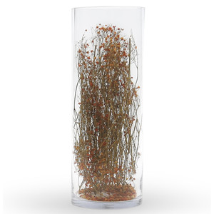 VCY0824 - Cylinder Glass <b>Vase</b> - 8 x 24 - Product Image 3
