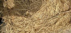 Compressed Straw Fire Starter for Easy Ignition for Wood and Bamboo Charcoal Stoves Barbecue <b>Accessory</b> - Product Image 2