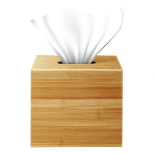 Caja de pañuelos de bambú con tapa Caja de bambú hecha a mano Decoración de Mesa para el hogar natural ecológica Venta al por mayor de Vietnam - Product Image 1