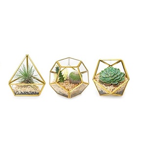 Indoor Decoration Metal And Glass Terrarium Tabletop Triangle Shape Flower <b>Vase</b> Container Decorative Glass Terrarium - Product Image 4