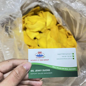Qualité mondiale mangue séchée vietnamienne saveur tropicale fruits secs Catégorie - Product Image 1