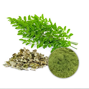 Blue Lotus Farm <span class=keywords><strong>Moringa</strong></span> Leave Té seco Seguro para la salud Extracto de plantas Producto de Venta caliente de Vietnam - Product Image 1