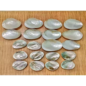 GRAND LIQUIDATION 2025: AUTHENTIQUE MÈRE DE PERLES-PRIX D'USINE, LE PLUS COMPÉTITIF AU VIETNAM! - Product Image 1