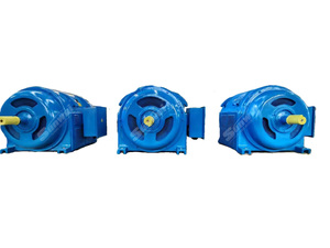 Motore asincrono trifase con frequenza 5/11/15/18/22/37/45/55KW 380V 50Hz - Product Image 2