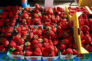 Fraises fraîches de la meilleure qualité, meilleur prix, 100 % naturelles et biologiques, en vente - Product Image 2