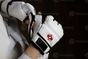 Guantes de Karate Samurai Kyukushin de Nuevo Diseño - Color y Talla Personalizables, Unisex, Cuero PU, Duraderos, Transpirables, Equipo de Artes Marciales - Product Image 5